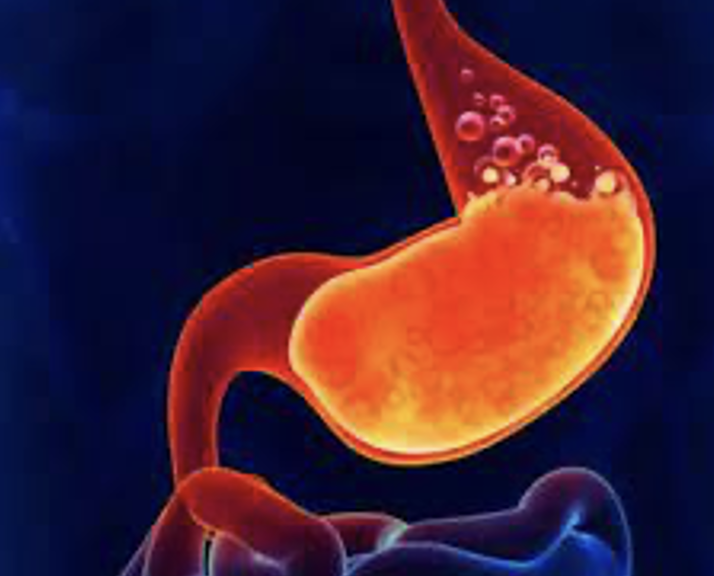 “आयुर्वेद मैं जठराग्नि ,धातु और मलों का महत्व “